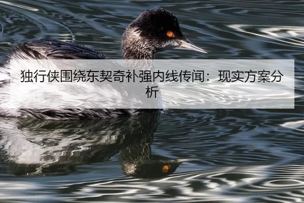独行侠围绕东契奇补强内线传闻：现实方案分析
